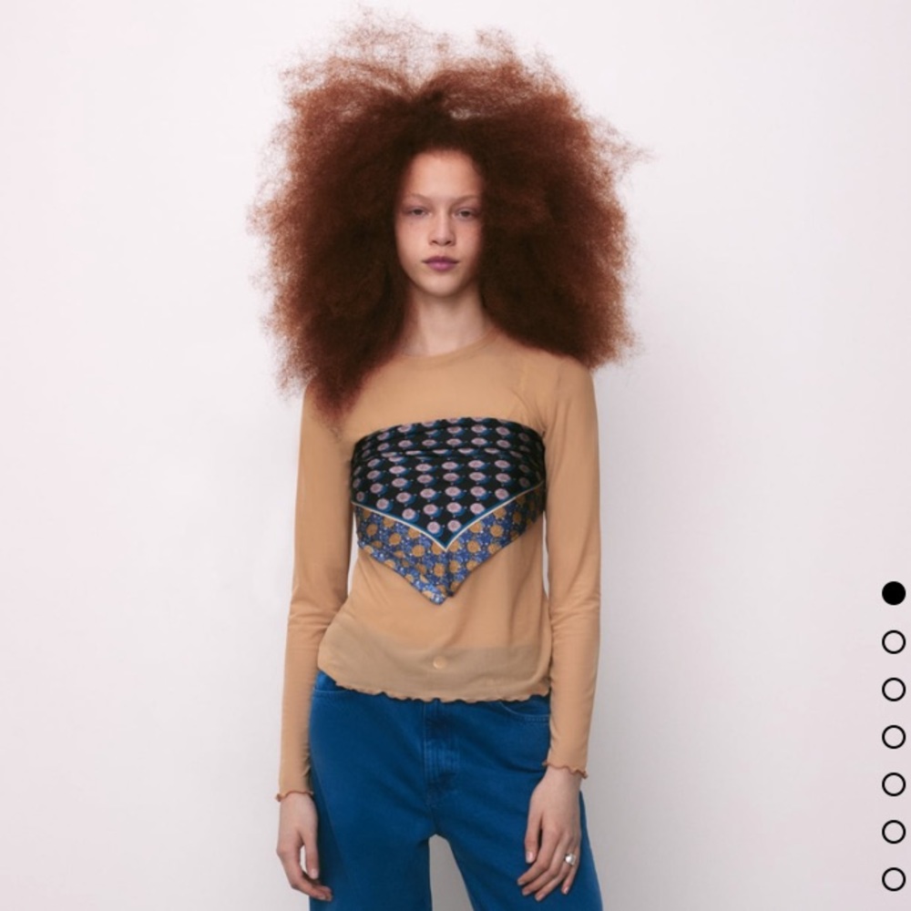 Zara semi sheer nude top